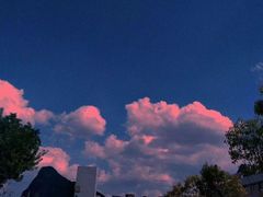 -昆山城市生态森林公园