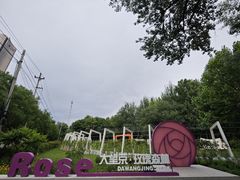 -大望京公园