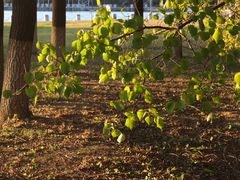 -长春世界雕塑园冰雪艺术天地