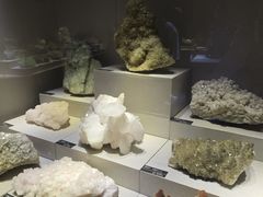-河南自然博物馆