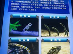 -成都浩海立方海洋公园