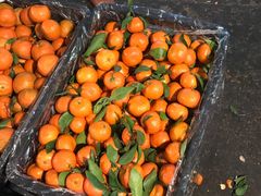 -菜园坝水果市场