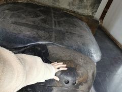 -南岳衡山风景名胜区-南岳大庙