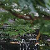 龙华探咖｜HOME CAFE  月 球 表 面