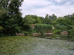-习家池