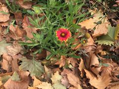 -济南国际园博园