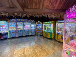 -卡通尼·Safari非洲探索乐园·生日会(金桥国际商业广场店)