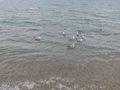 -青海湖二郎剑景区