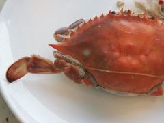 -港畔赶海蒸汽海鲜烧烤自助(仙螺岛店)