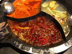 -杨家火锅(国美店)