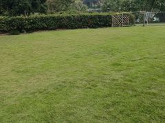 -杭州城北体育公园