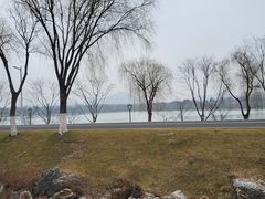 -羊山湖公园