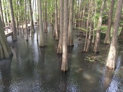 -东湖落雁景区