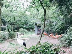 -杭州动物园