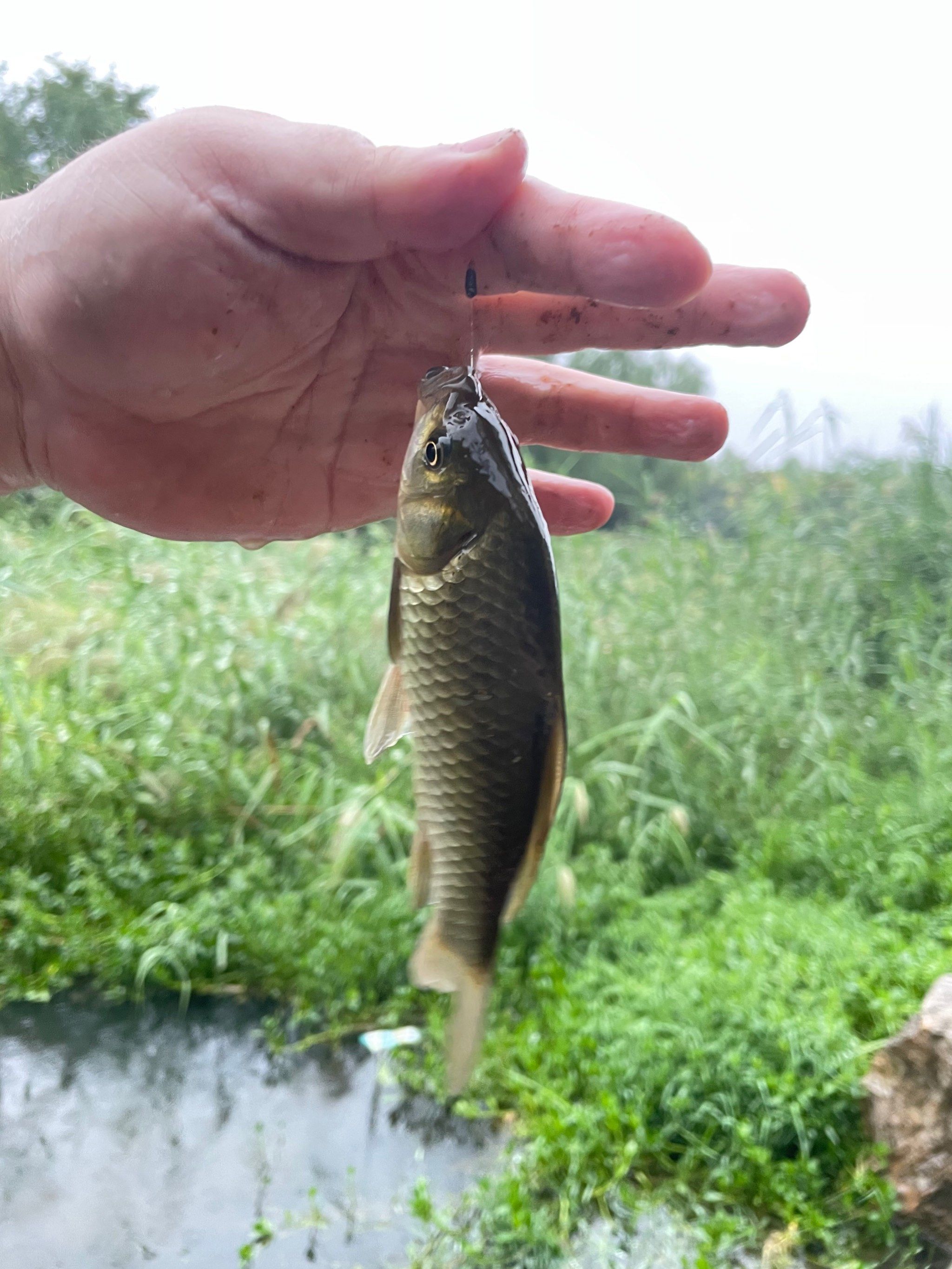 雨天钓鱼🎣