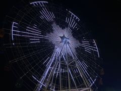 -飞来湖湿地公园