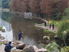 -重庆彩云湖湿地公园
