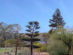 -奈良公园