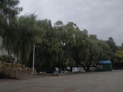 -沈阳南湖公园