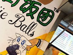 -猫咪博物馆(顶澳仔猫街店)