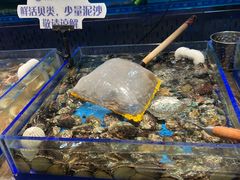 -尚宴牛特鲜自助(太原街万达店)