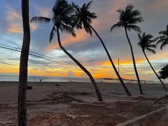 -Green Tree Rest. & Pub