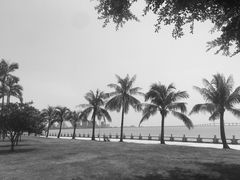 -情侣路