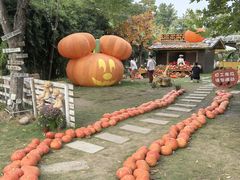 -HERRE·FARM 赫尔露营农场·团建聚会包场