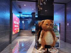 放映厅-博纳国际影城(凯德广场店)