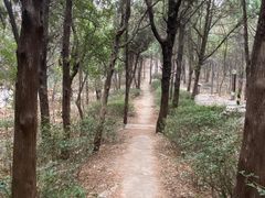 -云龙山