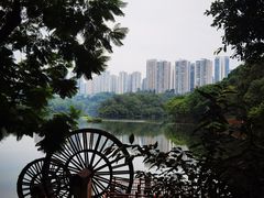 -重庆彩云湖湿地公园