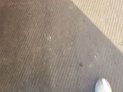 -古南都·老广东酒楼(龙江店)