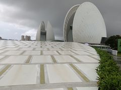 -野狸岛