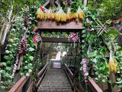 -西双版纳原始森林公园