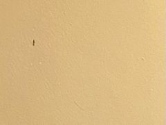 -石屏会馆
