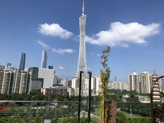 -小茶闲舍·观景商务茶馆(广州塔店)