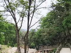 -沂蒙山旅游区龟蒙景区