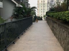 -半山林海