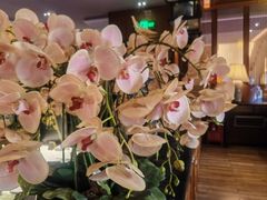 -八府香鸭·啫啫煲(华山路店)