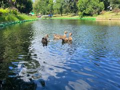 -西安汉城湖景区