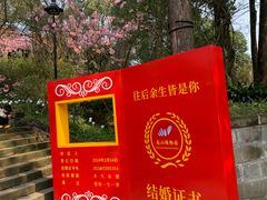 -南山植物园
