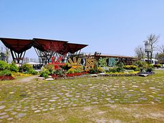 -上海长兴岛郊野公园