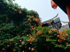 -台儿庄古城