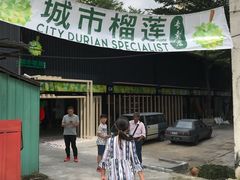 -都念榴莲·城市榴莲