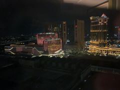 -澳门威尼斯人综合度假区