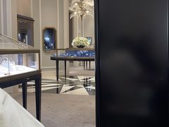 -Harry Winston 海瑞温斯顿