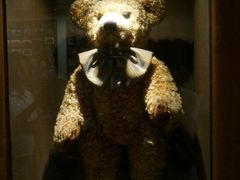 -济州岛泰迪熊博物馆