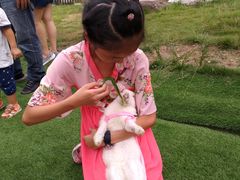 -重庆长寿碧桂园凤悦凤凰酒店