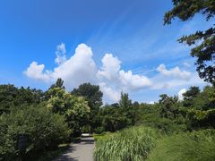 -国家植物园南园