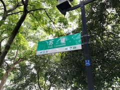 -苏堤停车场
